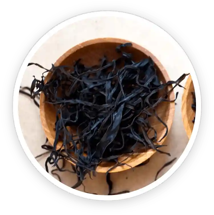 EyeFortin Ingredients L-Glutamic Acid